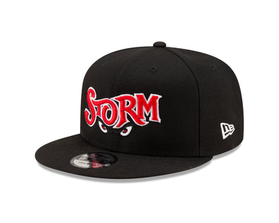 Lake Elsinore Storm New Wordmark Black 950