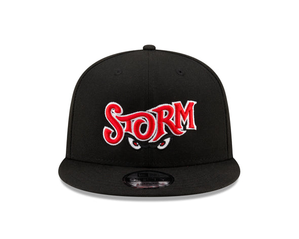 Lake Elsinore Storm New Wordmark Black 950