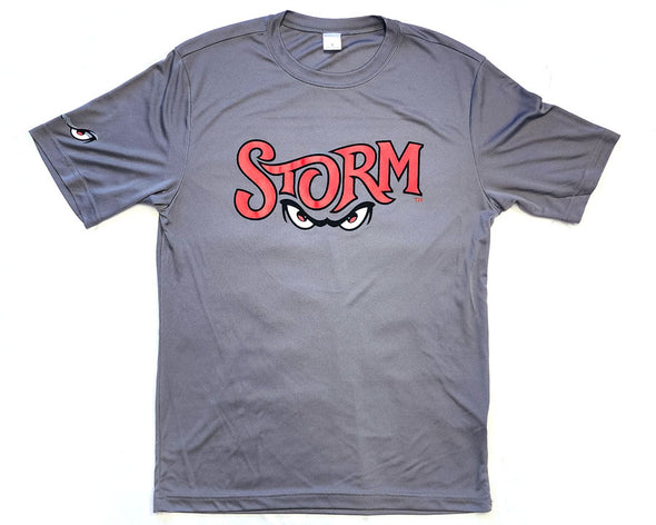 Lake Elsinore Storm New Wordmark Performance Tee - Grey