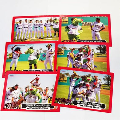 Lake Elsinore Storm Thunder and Friends Team Card Set